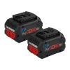Pack de 2 batteries ProCore Bosch 18 V 8.0 Ah Li-Ion Professional