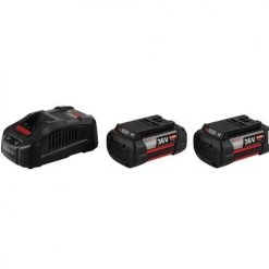 Pack de 2 batteries 36 V 6.0 Ah + chargeur GAL 3680CV Bosch