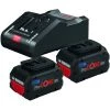 Pack de 2 batteries Bosch ProCore 18V / 8Ah + chargeur GAL 18V-160 C